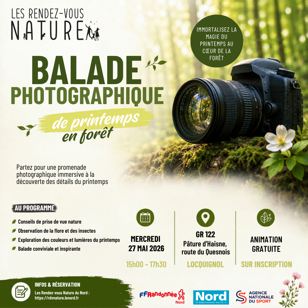 Balade photographique de printemps en forêt