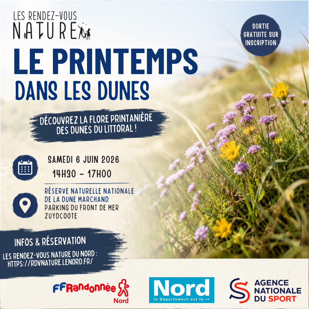 Le printemps dans les dunes
