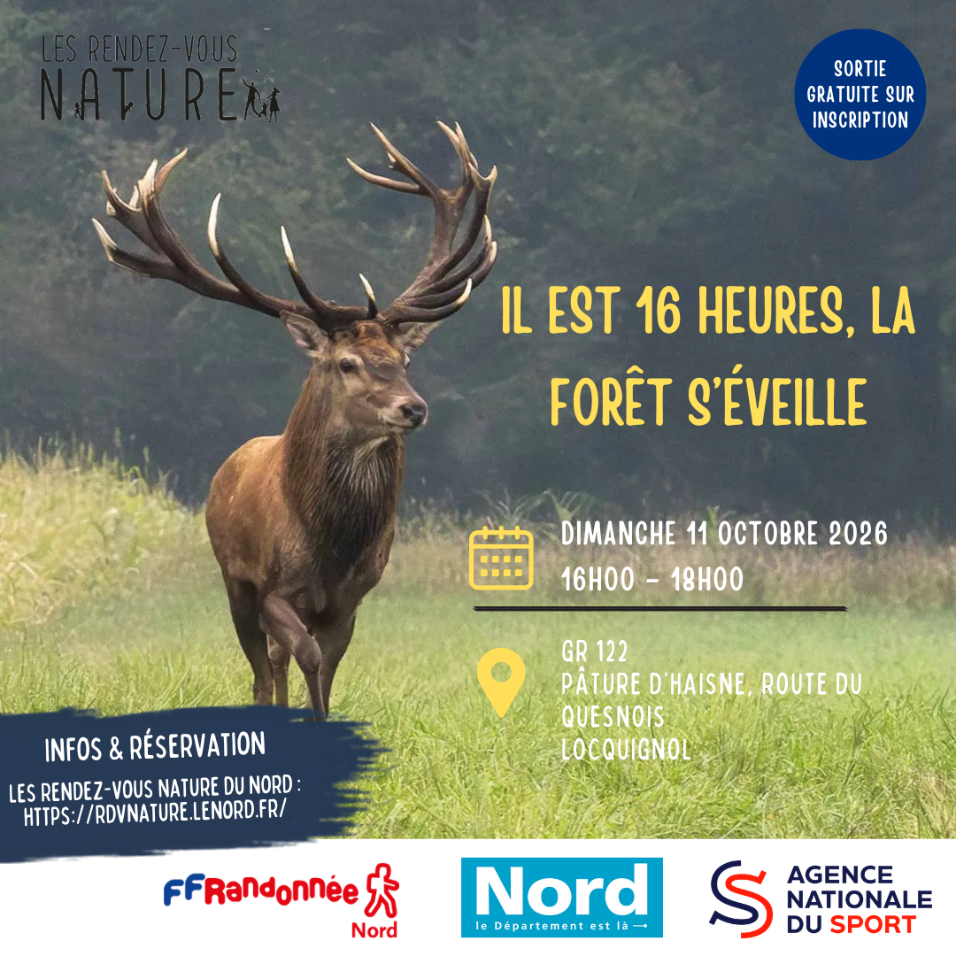 Il est 16 heures, la forêt s’éveille🌿